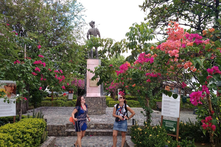 From Medellín: Santa Fé de Antioquia Private Day Trip