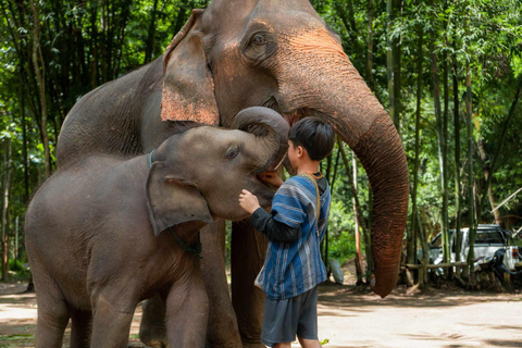 Chiang Mai : Olifantenopvang Elephant Eco Park