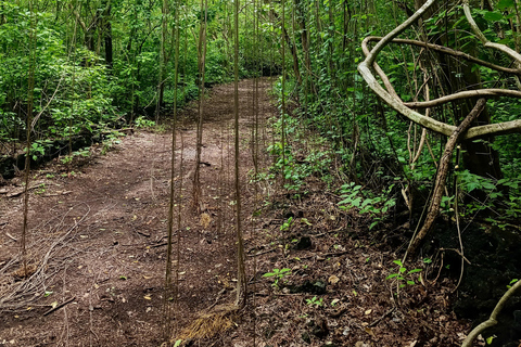 El Salvador: San Diego Volcano Crater Guided Hike