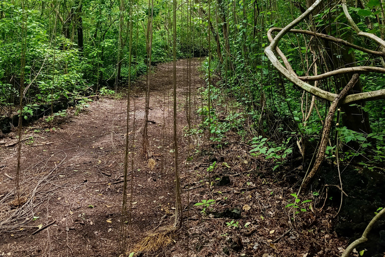 El Salvador: San Diego Volcano Crater Guided Hike