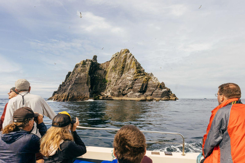 Skellig Michael: Great Skellig Panoramic Boat Tour