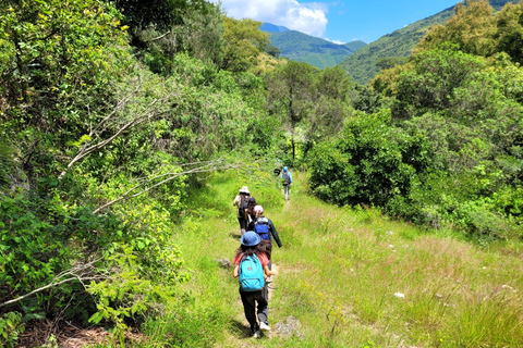 Oaxaca: Sierra Norte Ixtepeji Guided Hike & Lunch, Half-Day
