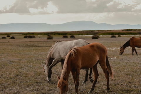 Kutaisi: Private Horseback Riding Tour with Hotel Pickup.⏱️ Transportation is included in this option .