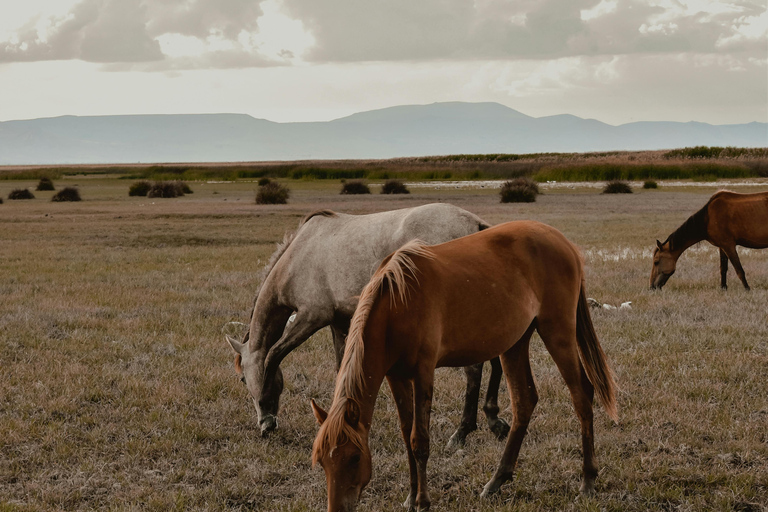 Kutaisi: Private Horseback Riding Tour with Hotel Pickup.⏱️ Transportation is included in this option .