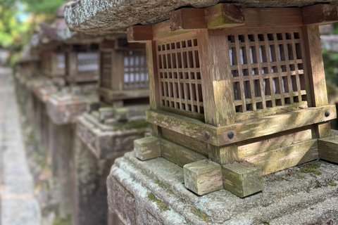 Nara : Explorez le sanctuaire Kasuga Taisha en seulement 90 minutes.