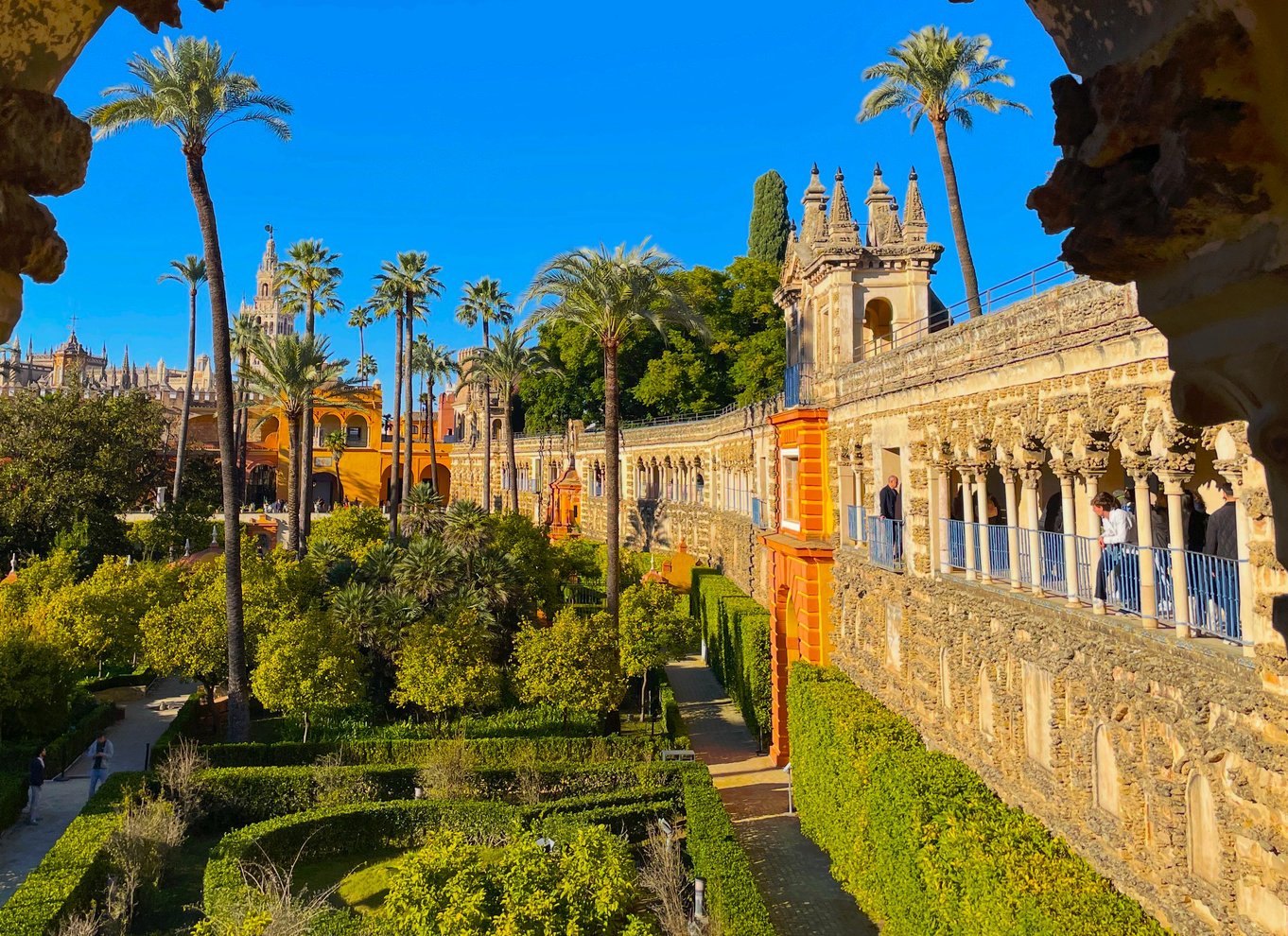 Sevilla: Spring køen over til Alcázar, katedralen og Giralda