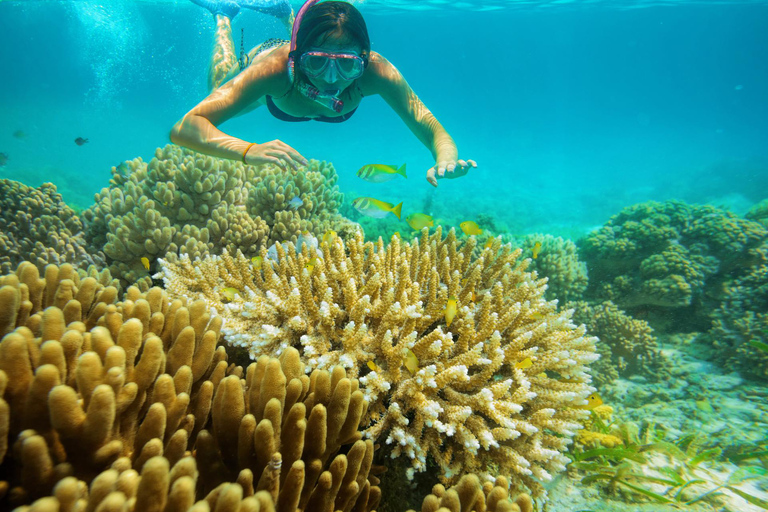 Isla Mujeres: Katamaran, snorkling, öppen bar och bufféKatamaran med buffé och öppen bar