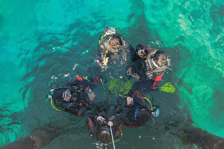 Aqaba Shore Diving Black Rock and Rainbow Reef Site