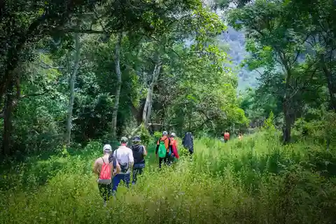Dong Hoi: Paradisgrotten og Phong Nha botaniske hage
