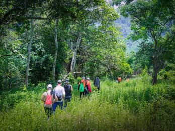 Донг Хой: Райская пещера и ботанический сад Фонг Нха (Paradise Cave & Phong Nha Botanical Garden Trek)