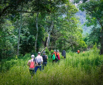 Dong Hoi: Paradisgrotten og Phong Nha botaniske hage