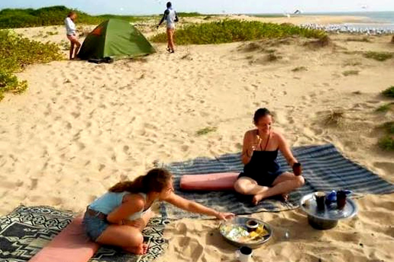 Sine Saloum Adventure from Dakar with canoe & overnight stay Sine Saloum getaway from Dakar with canoe & overnight stay