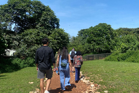 Ngamba Island Chimpanzee, Entebbe and Victoria Tour