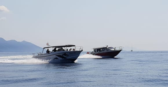 Von Hvar aus: Unvergessliche Tour zur Insel Vis und zur Blauen Höhle