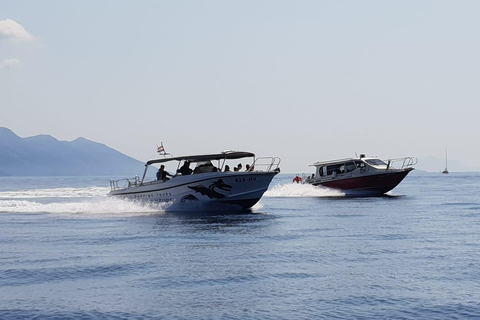 From Hvar: Unforgetable Tour to the Island Vis and Blue Cave