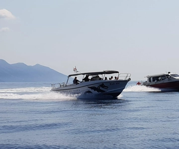 From Hvar: Unforgetable Tour to the Island Vis and Blue Cave