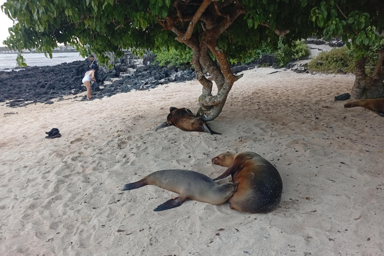 Quito: Galapagos Islands 4-Day Tour with Flights