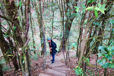 Doi Inthanon Nationalpark &amp; Wanderung Kew Mae Pan Naturpfad