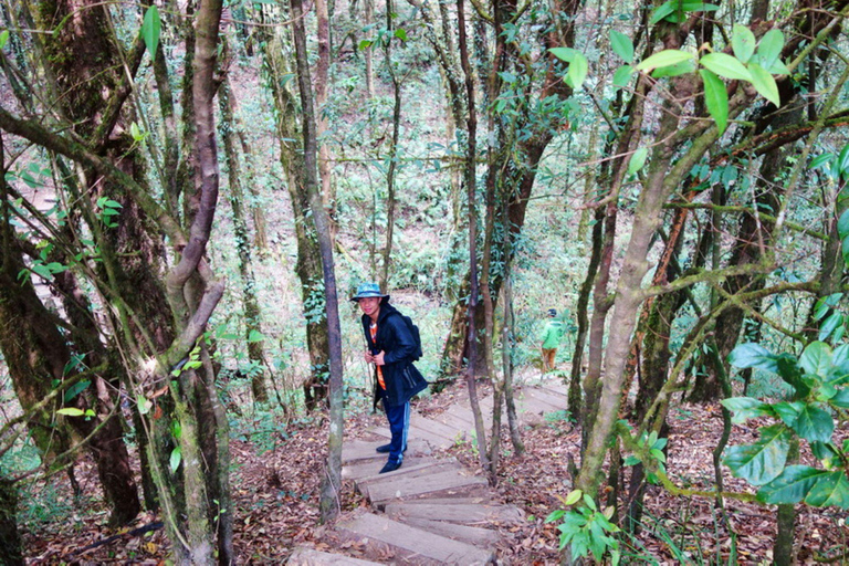 Doi Inthanon nationalpark &amp; vandring Kew Mae Pan Nature Trail