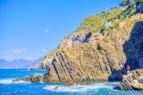 Firenze: Escursione alle Cinque Terre e a Pisa