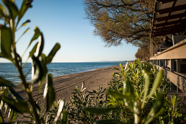 Sandy Shores Shuttle: uw toegangspoort tot het strand van Kourouta