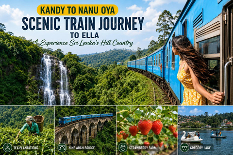 Kandy to Nanu Oya Drop: Tea Tour with Ella Train Tickets Kandy to Nanu Oya Drop: with Ella Train Tickets by Car