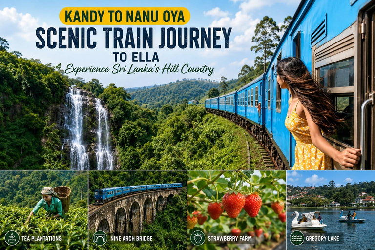 Kandy to Nanu Oya Drop: Tea Tour with Ella Train Tickets Kandy to Nanu Oya Drop: with Ella Train Tickets by Car