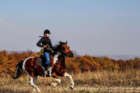 Pokharas erstes Reitabenteuer