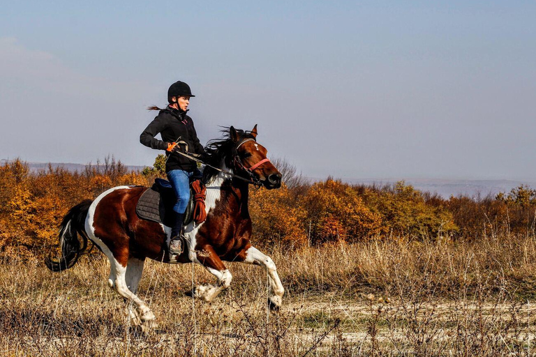 Pokhara: Horseback Adventure