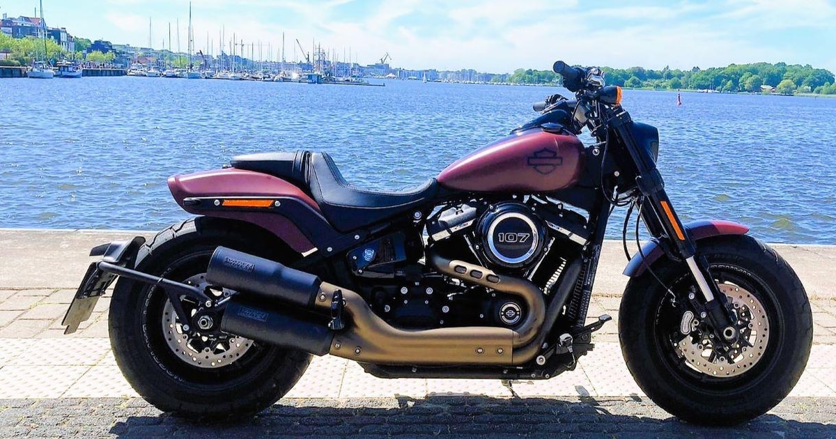 Harley 107 2024