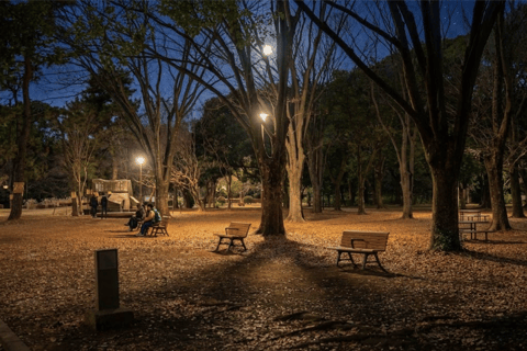 Tokyo : Ghost and Dark Tales, Urban Legends & Cemetery Night