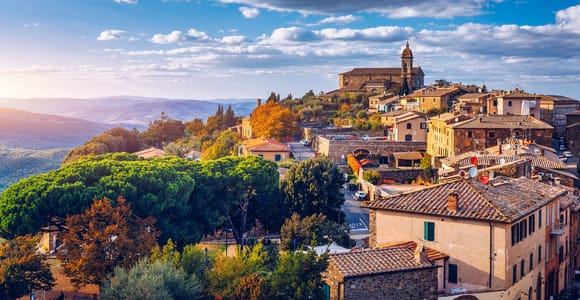 Rows of vines crossing sunlit hills below the stone town of Montalcino