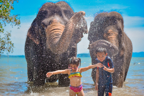 Phuket: Half‑Day Elephant Care Experience Including Lunch