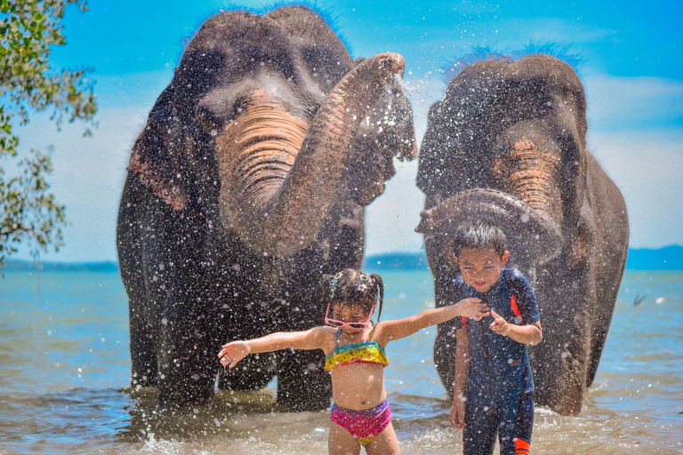Phuket: Half‑Day Elephant Care Experience Including Lunch
