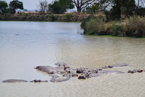 From Zanzibar: Mikumi Day Safari without hotel pickupMikumi Day shared Safari without hotel pickup