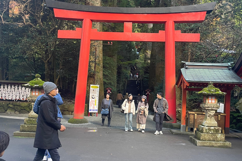 From Tokyo: Hakone Full Day Customizable Private Tour