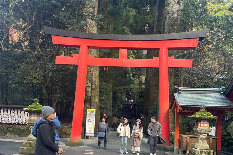 From Tokyo: Hakone Full Day Customizable Private Tour