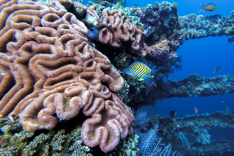 Open Water Course at Liberty Wreck & Kayak Adventure in Bali