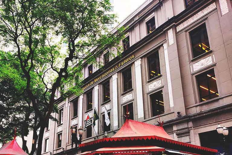 São Paulo: Small-Group Walking Tour with Guide