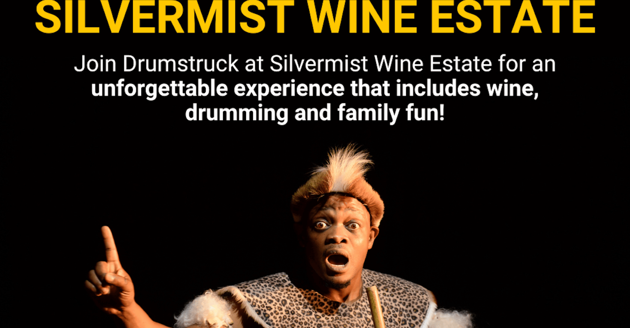 Cape Town: Silvermist Estate Wine Tasting & Drumstruck Show photo 8