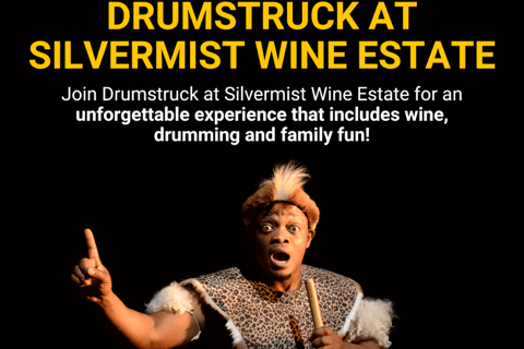 Le Cap : dégustation de vins au domaine Silvermist et spectacle DrumstruckLe Cap : Dégustation de vins au domaine Silvermist et spectacle Drumstruck