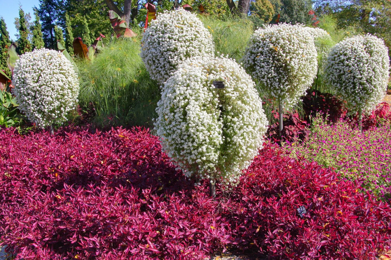Montreal Botanical Garden & Insectarium Private Guided Tour 3-hour: Montreal Botanical Garden Tour & Transport