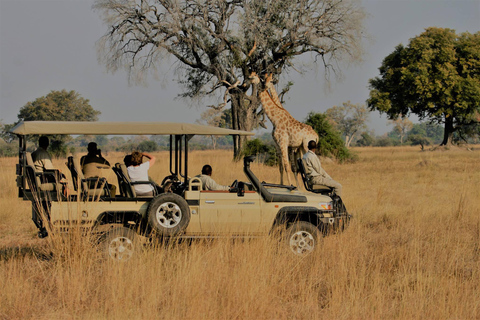 Tollste 5 Tage Tansania Lodge Safari