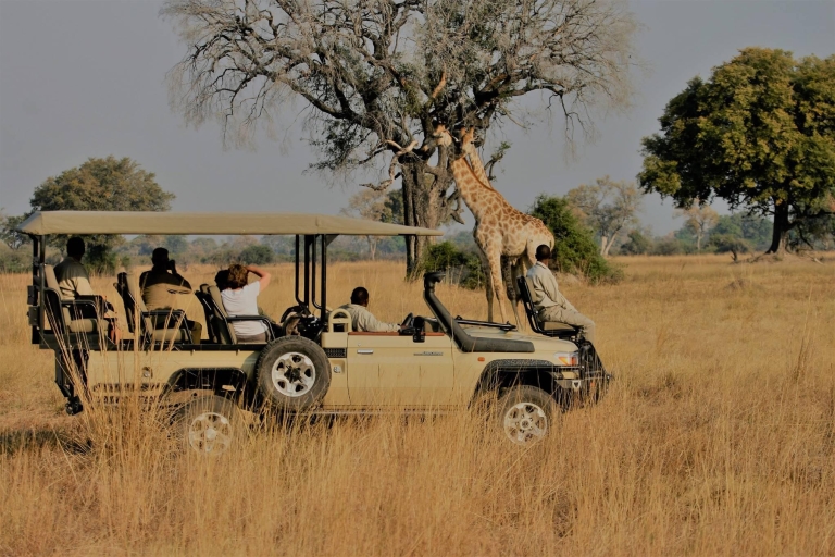 Greatest 5 Days Tanzania Lodge Safari