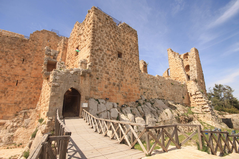 Group Tour From Amman: Jerash and Ajloun Castle