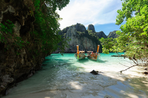 phi phi eiland: Halve dag lange - staart rondvaartphi phi :Pileh, Loh Samah Bay, Maya Bay Longtail Boottocht