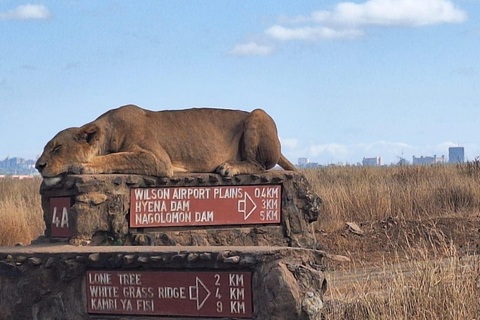 Nairobi National Park, Sheldrick Wildlife Trust en Giraffecentrum