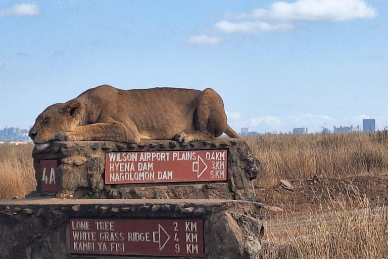 Nairobi NationalPark,Sheldrick Wildlife Trust&Giraffe Center