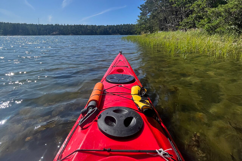 Stockholm: excursion d'une journée en kayak écologique dans l'archipel