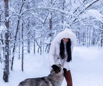 Ivalo: Husky Farm Kennel Visit at Happy Huskies